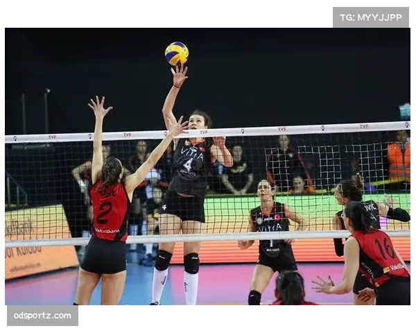 多特蒙德主场2-0完胜亚特兰大 吉拉西传射建功奠定晋级基础